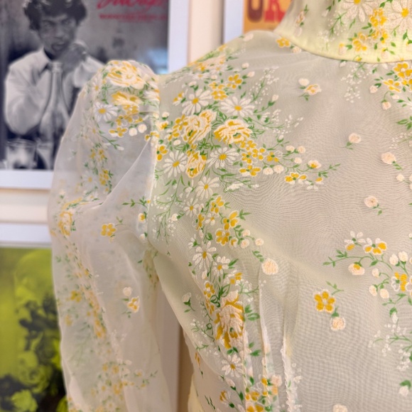 Vintage 60s Sheer Floral Maxi Dress 🌼: - Picture 4 of 10